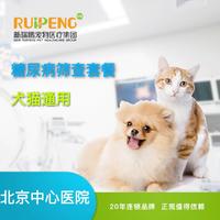 北京中心医院阿闻直播糖尿病筛查筛查 猫狗